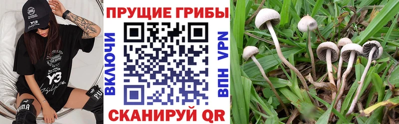 Галлюциногенные грибы мухоморы  Купить закладки  Стрежевой 